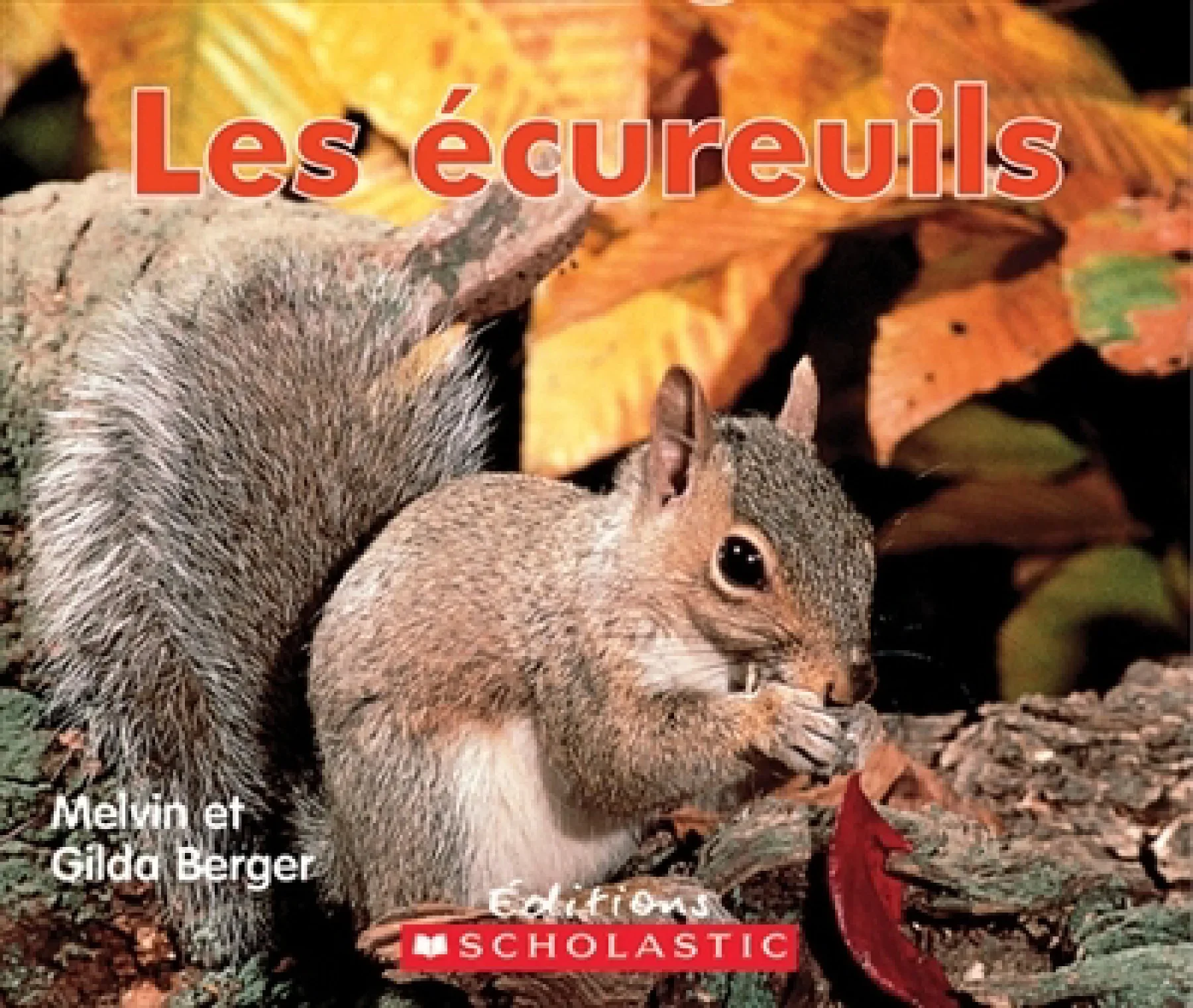 Les écureuils