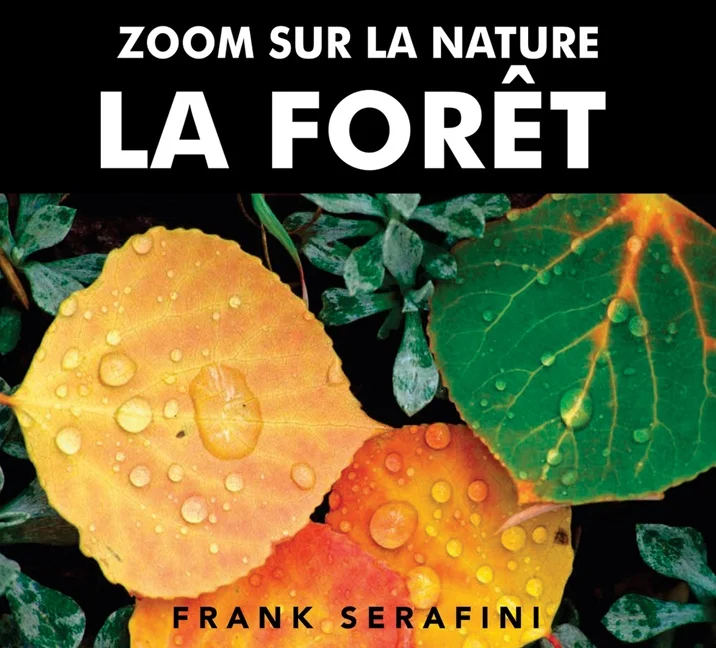 La forêt