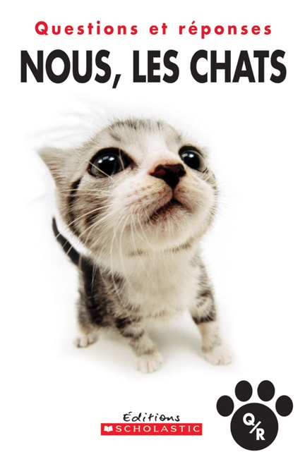 Nous, les chats : questions et réponses