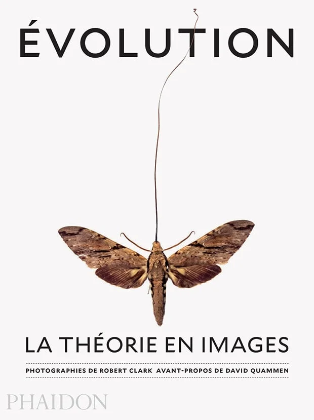 Evolution : la théorie en images