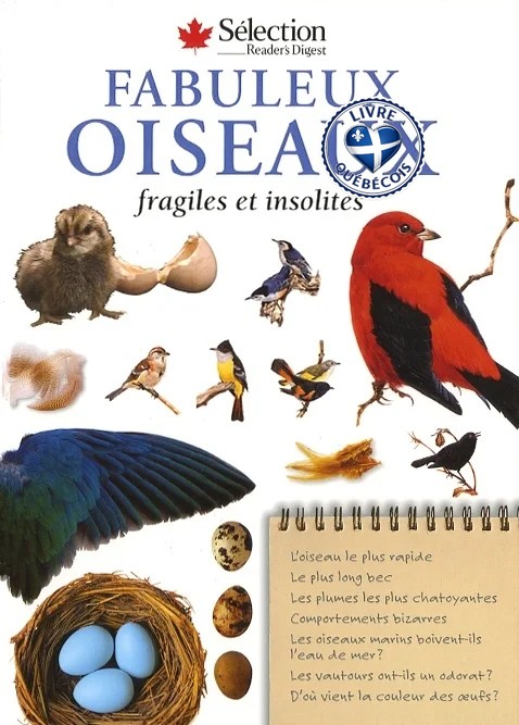 Fabuleux oiseaux : fragiles et insolites