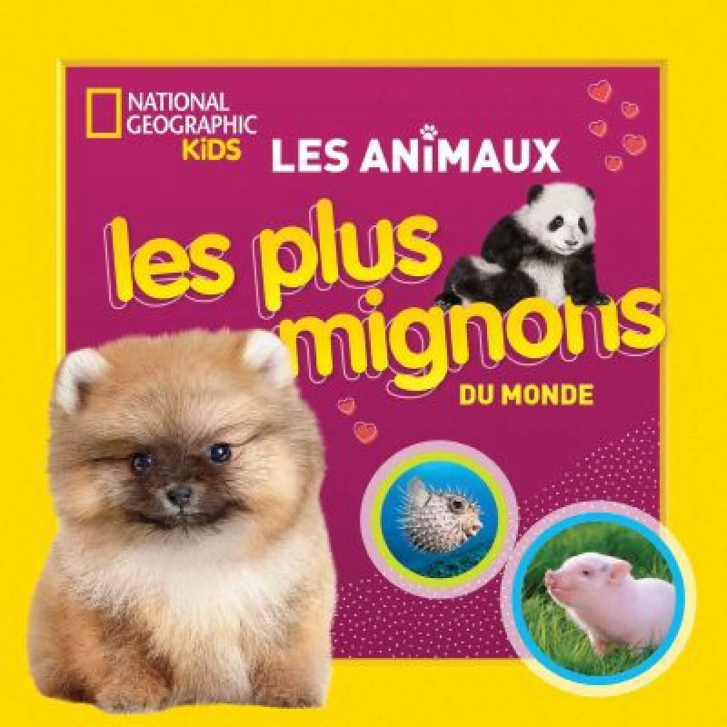 Les animaux les plus mignons du monde