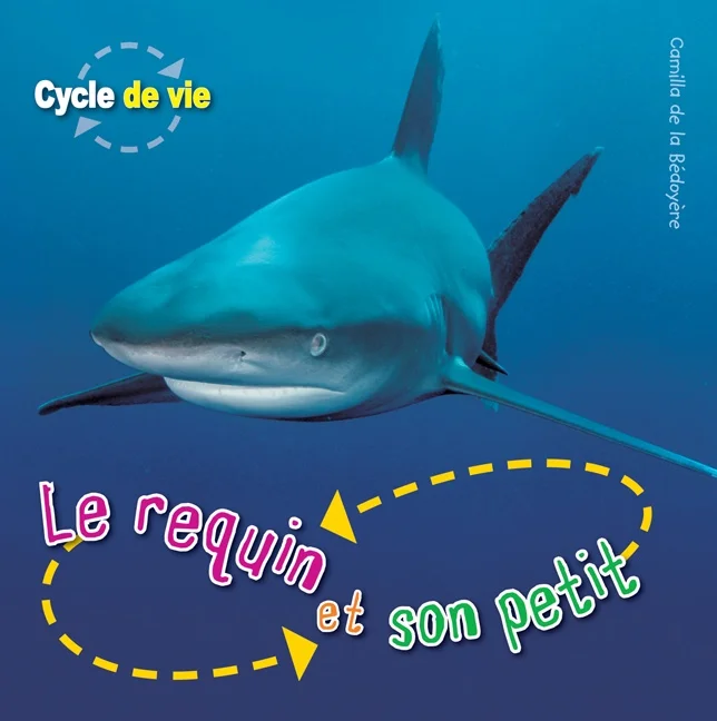 Le requin et son petit
