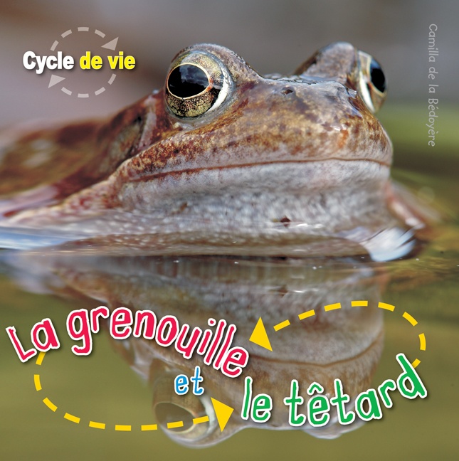 La grenouille et le têtard