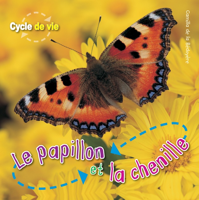 Le papillon et la chenille