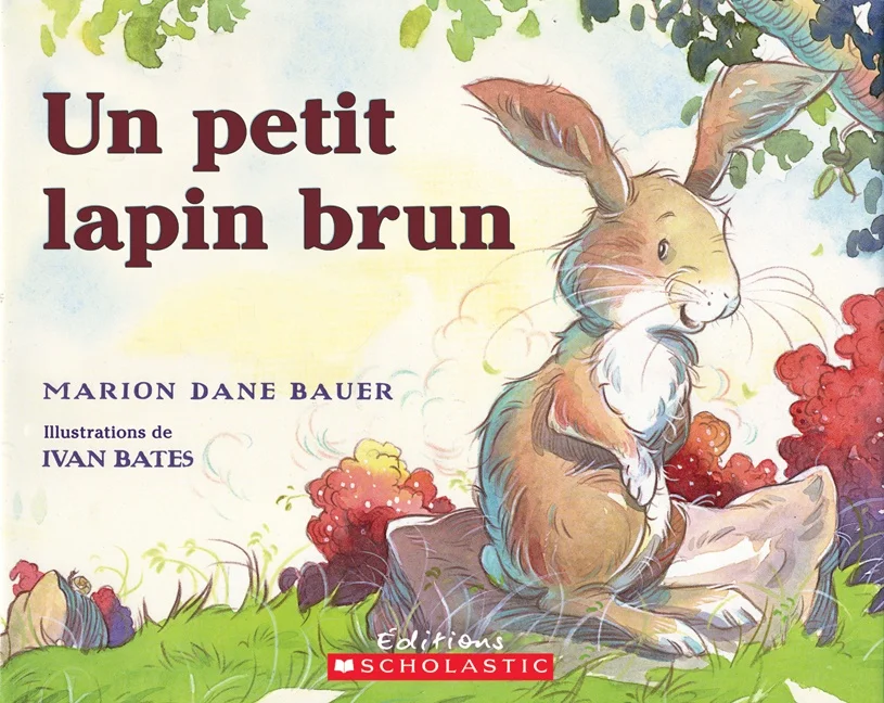 Un petit lapin brun
