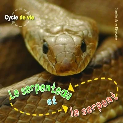 Le serpenteau et le serpent