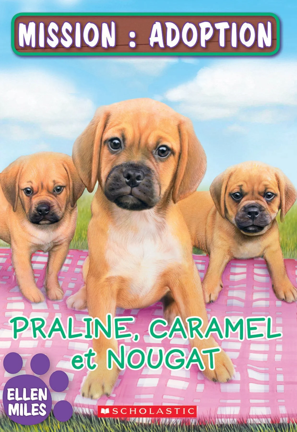 Praline, Caramel, Nougat