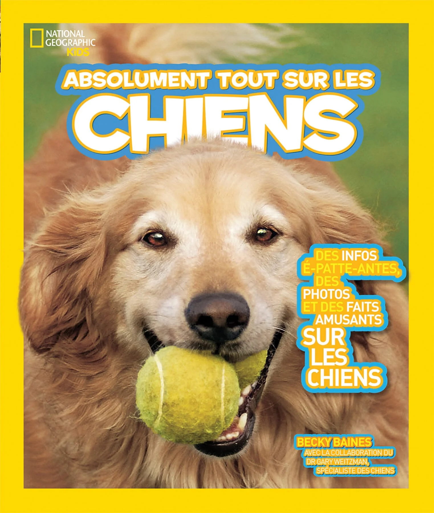 Absolument tout sur les chiens