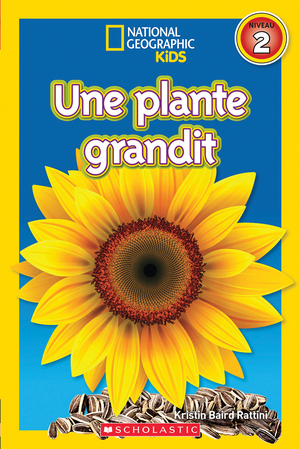 Une plante grandit