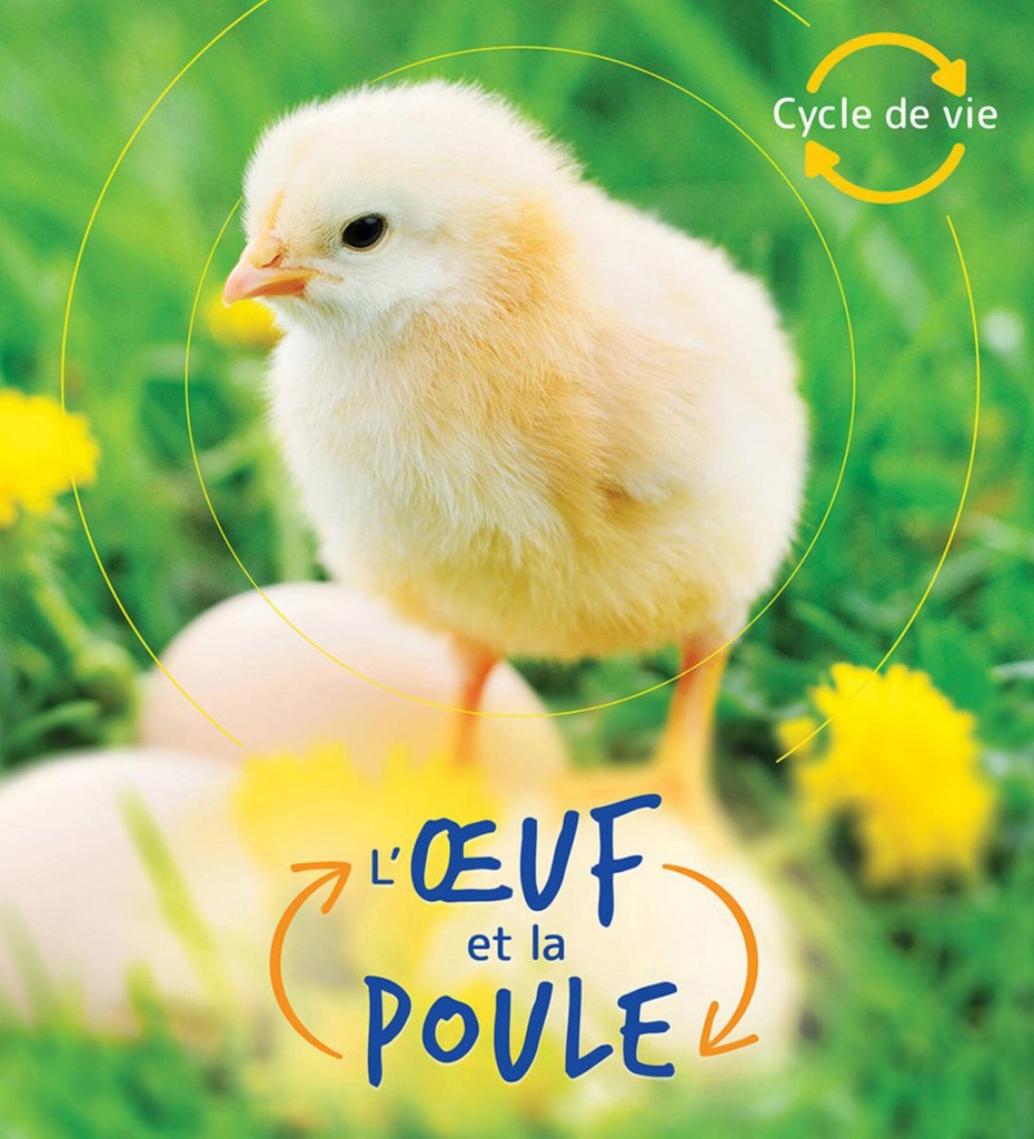 L'oeuf et la poule