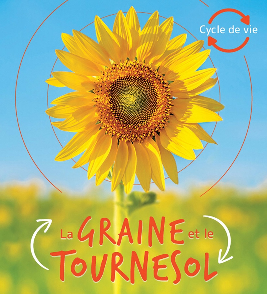 La graine et le tournesol