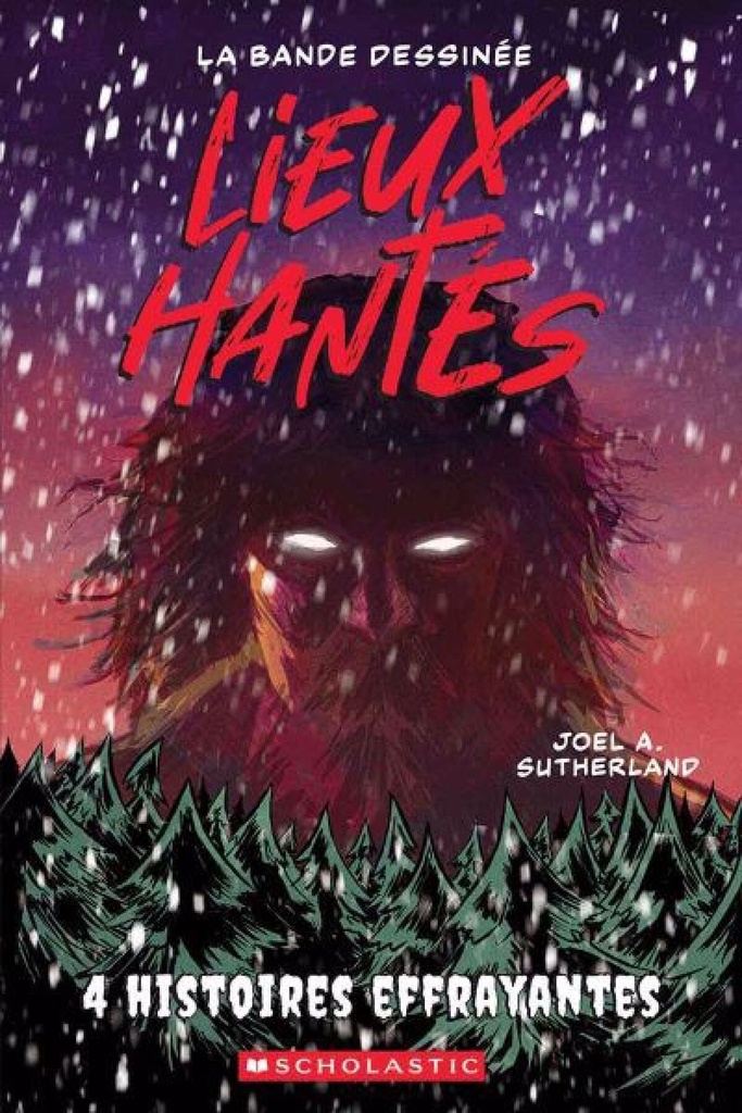 Lieux hantés : La bande dessinée : N˚  2 : 4 histoires effrayantes