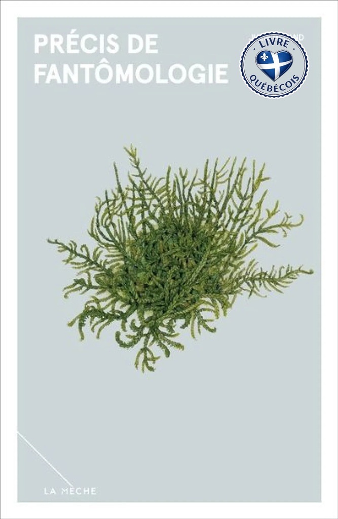 Précis de fantômologie