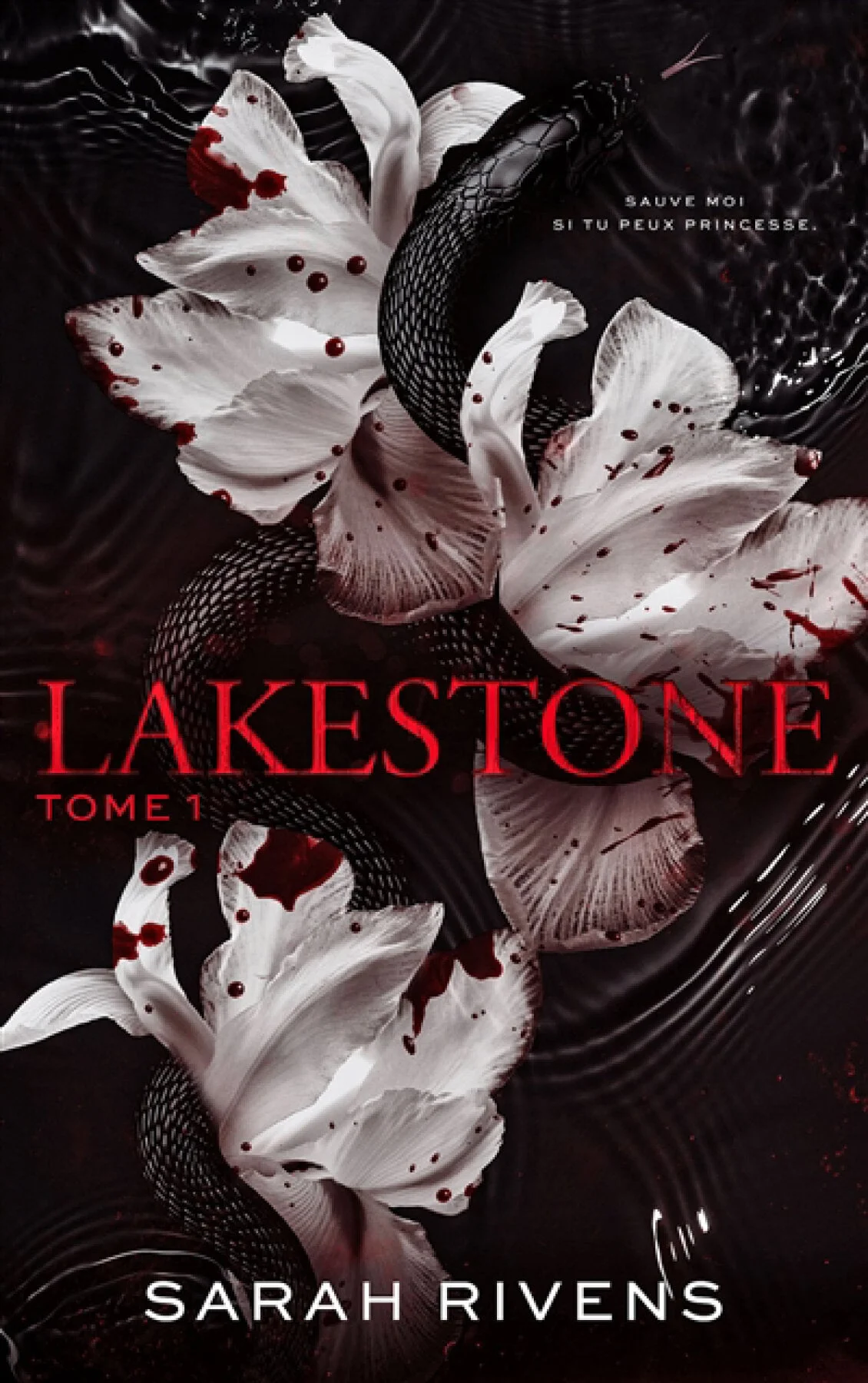 Lakestone, Vol. 1