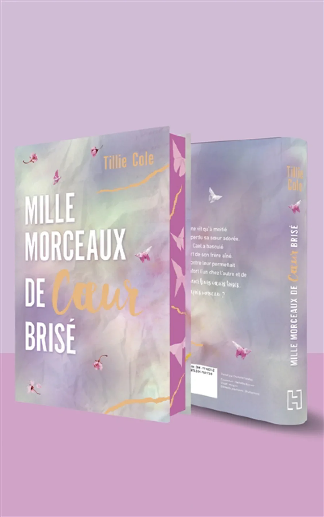 Mille morceaux de coeur brisé