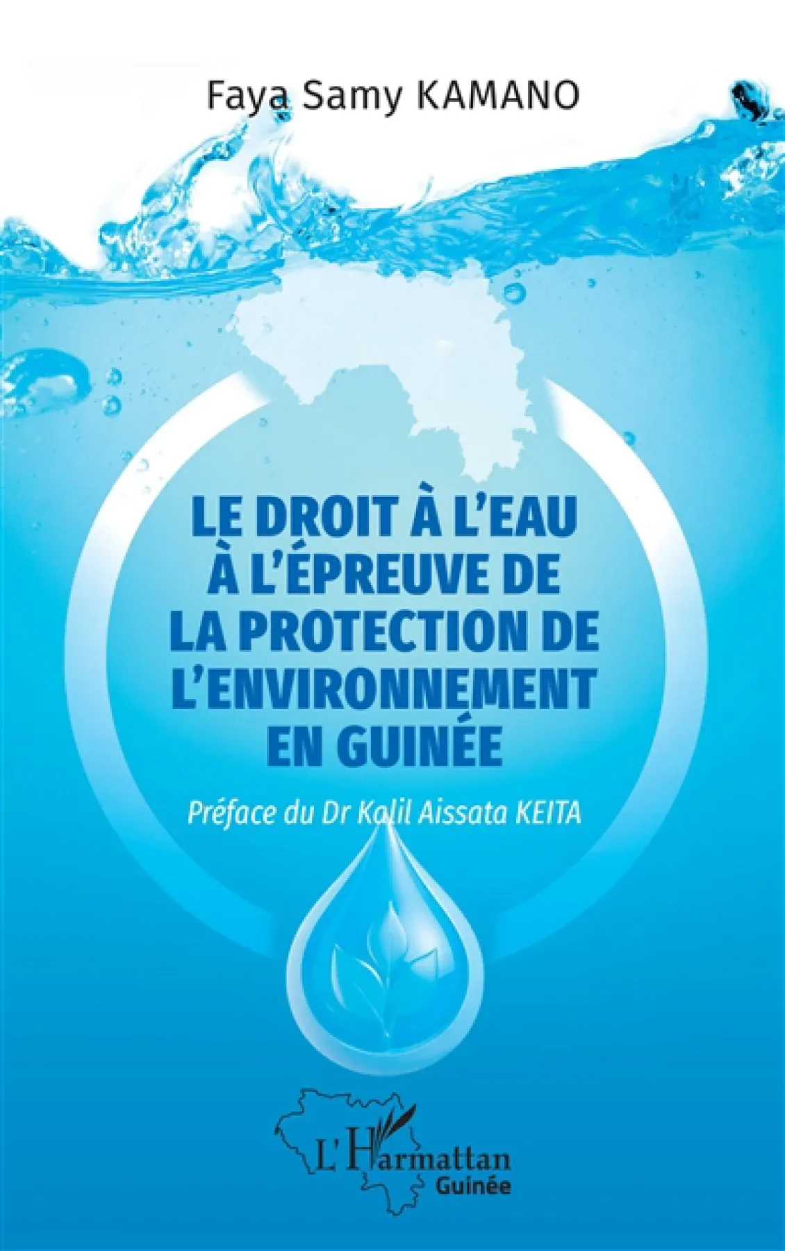 Le droit à l'eau à l'épreuve de la protection de l'environnement en Guinée