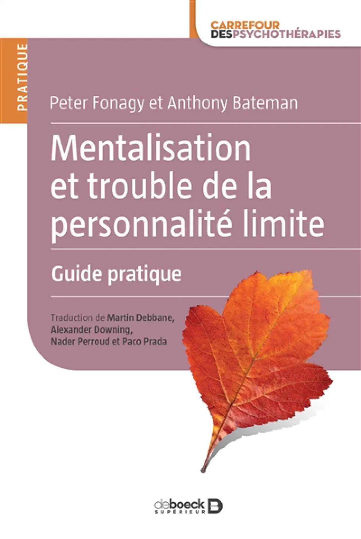 Mentalisation et trouble de la personnalité limite : guide pratique