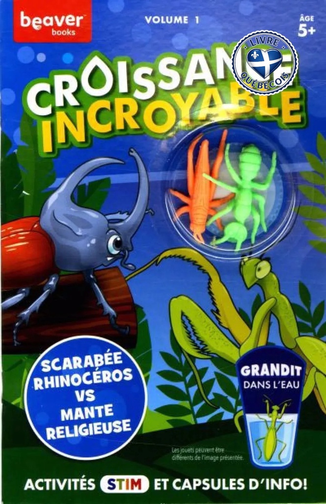 Scarabee-rhinoceros vs mante religieuse