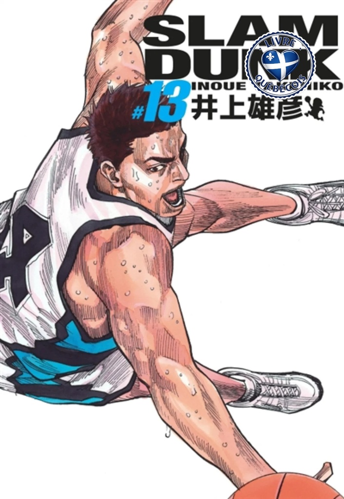 Slam Dunk, Vol. 13