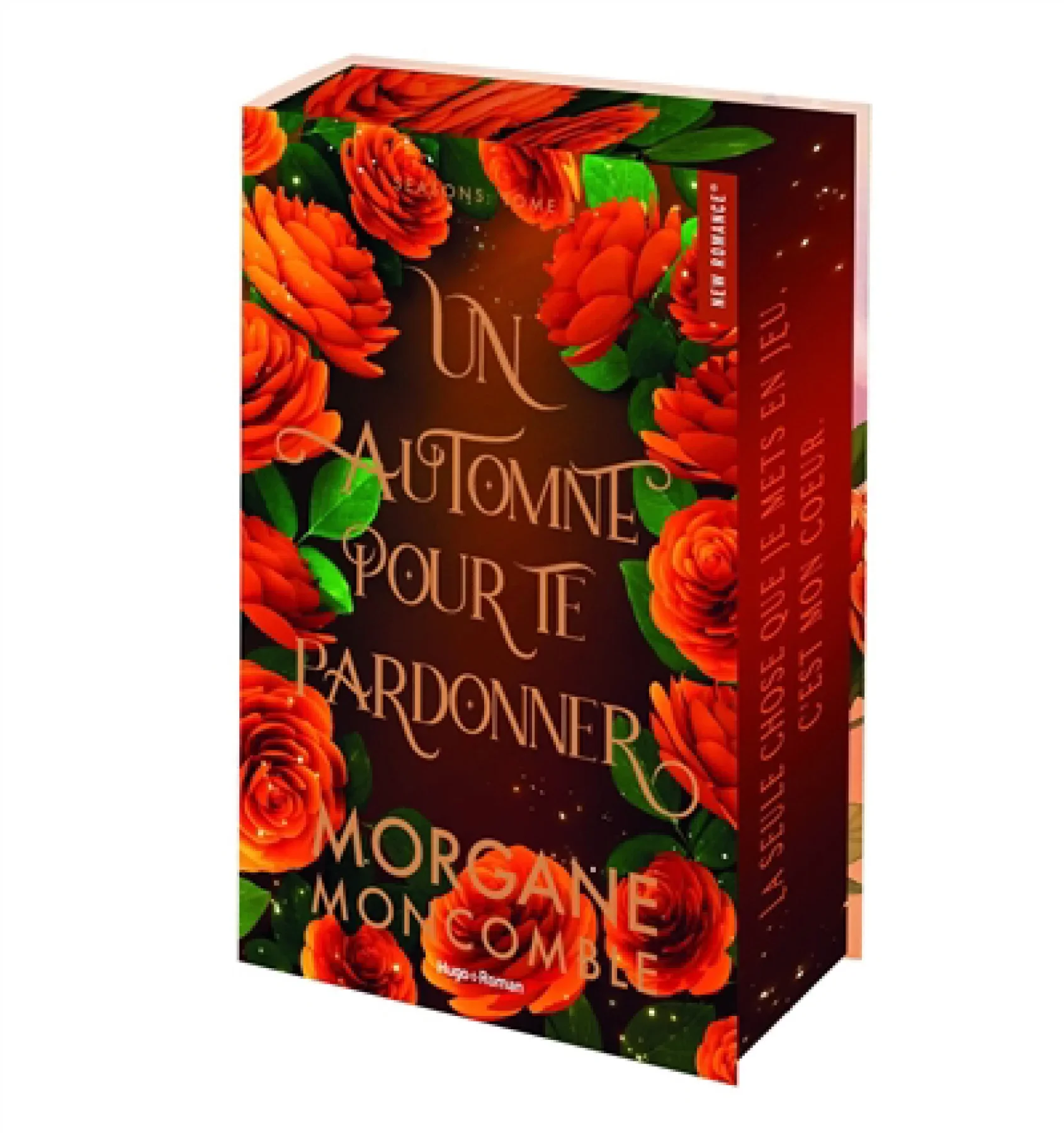 Un automne pour te pardonner