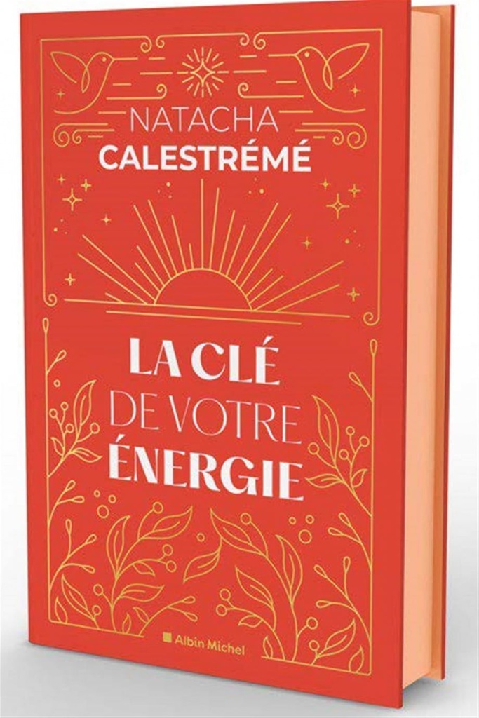 La clé de votre énergie : 22 protocoles pour vous libérer émotionnellement