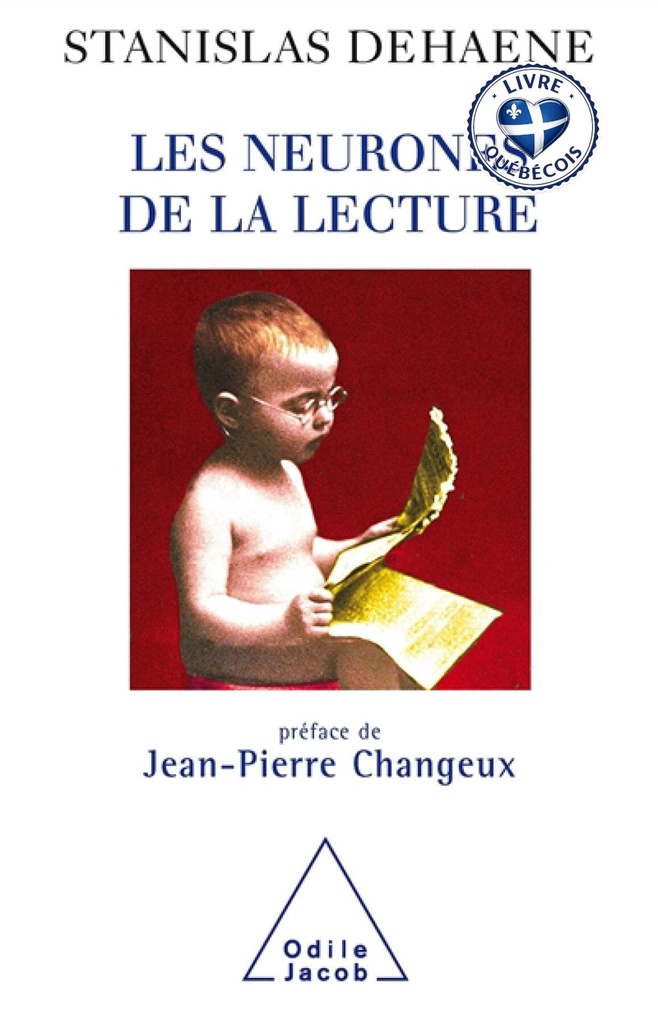 Les neurones de la lecture