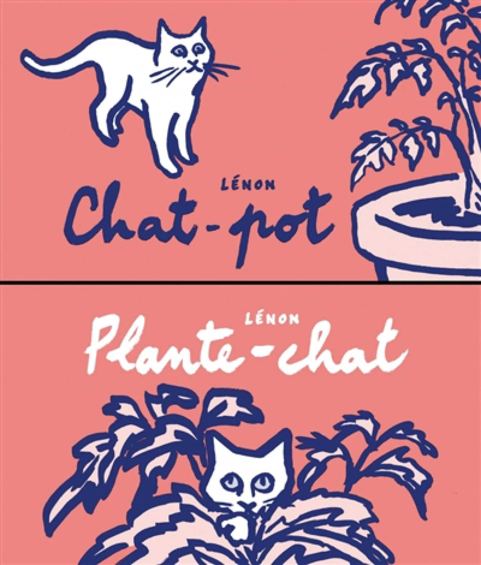 Chat-pot ; Plante-chat