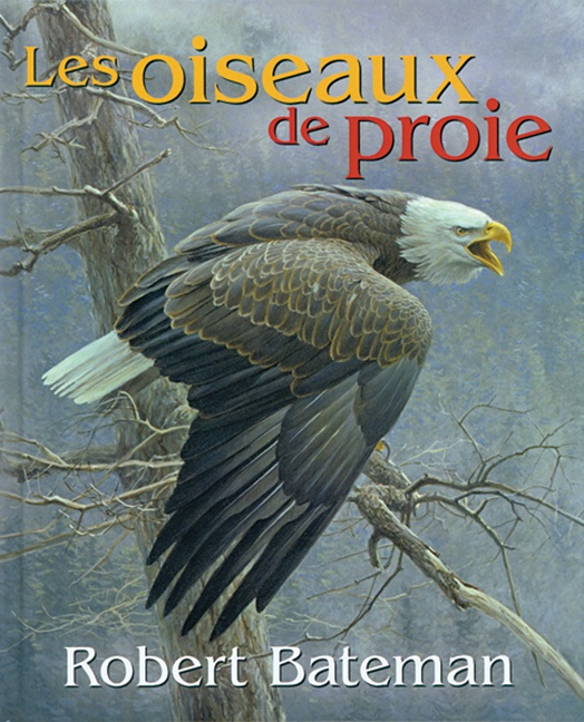 Les oiseaux de proie