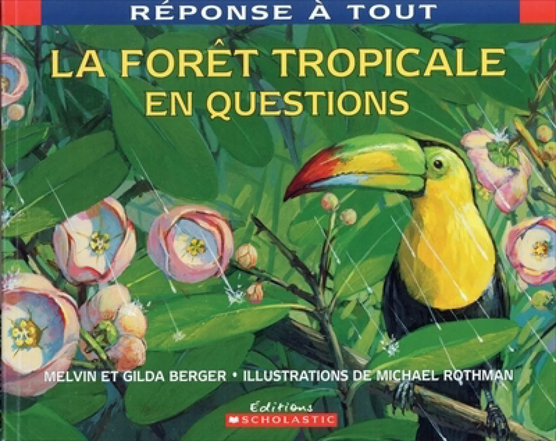 La forêt tropicale en questions