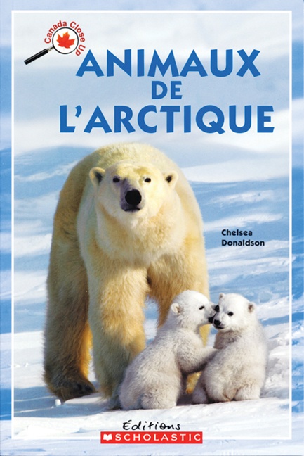 Animaux de l'Arctique