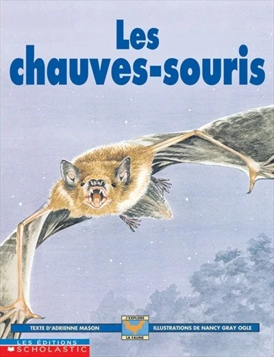 Les chauves-souris