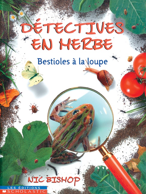 Détectives en herbe : bestioles à la loupe