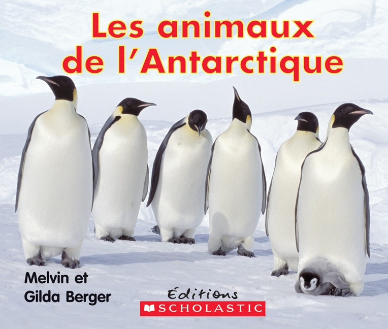 Les animaux de l'Antarctique