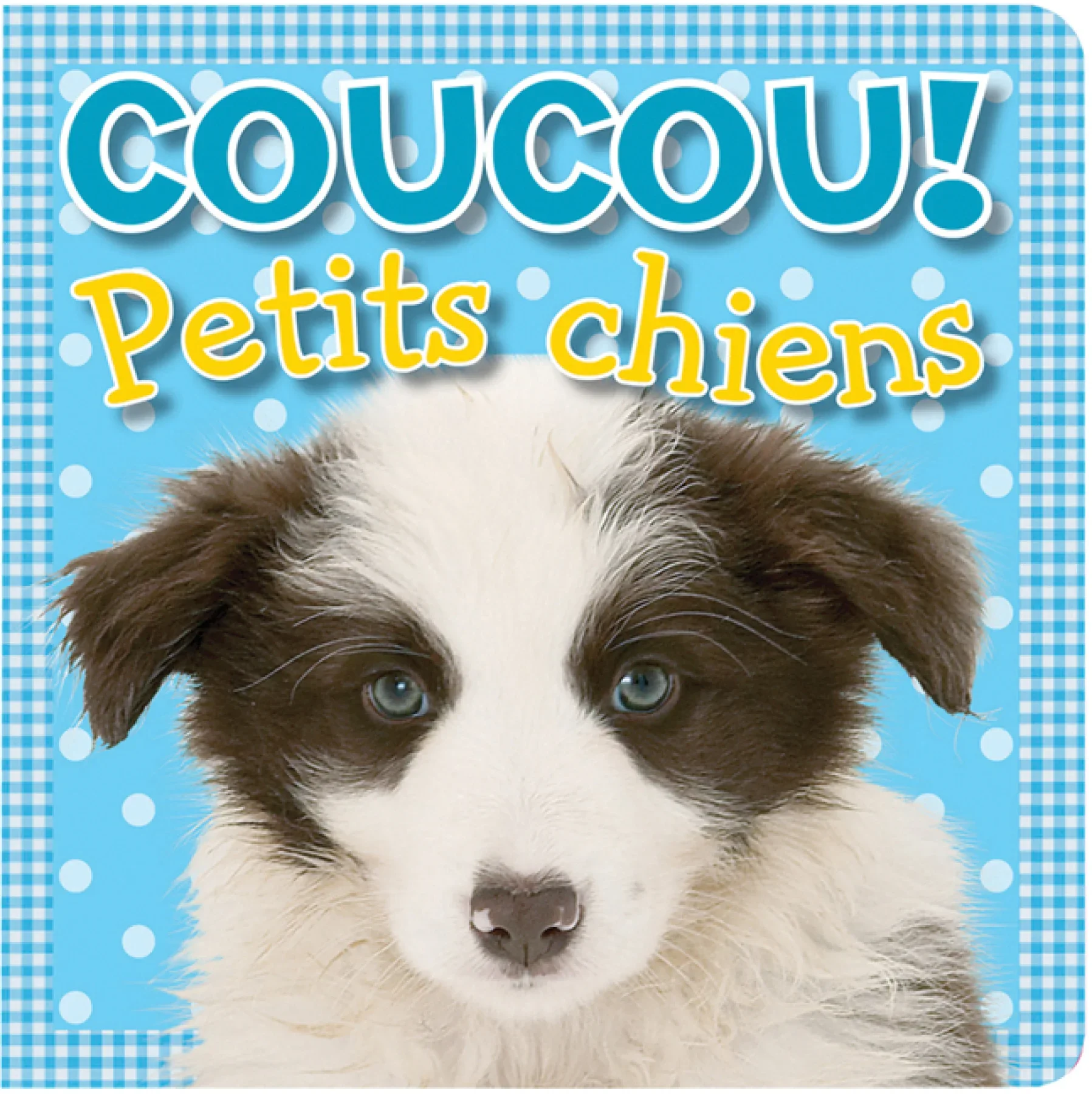 Petits chiens