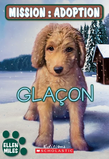 Glaçon