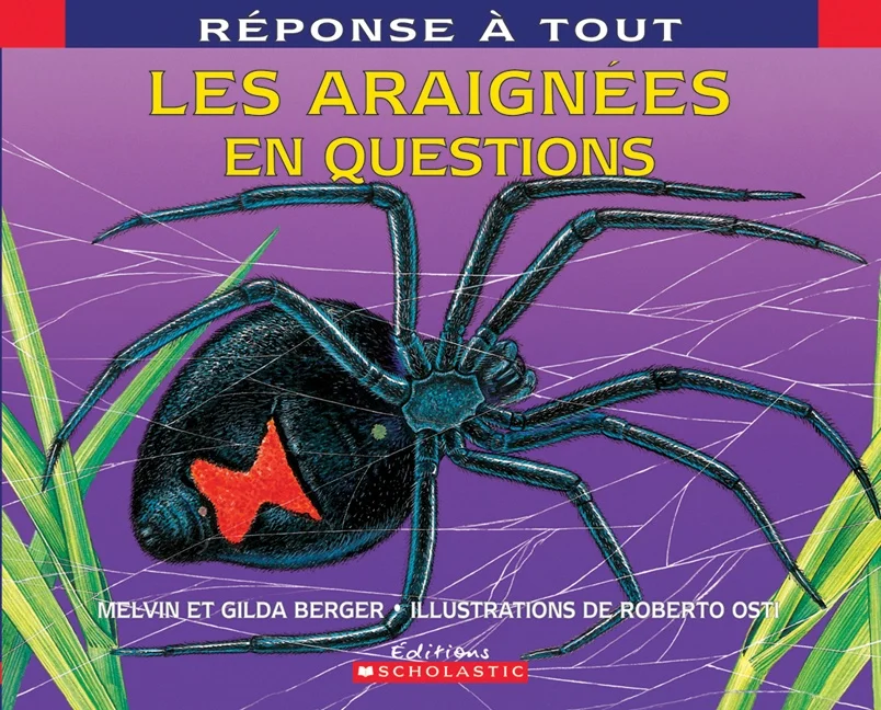Les araignées en questions